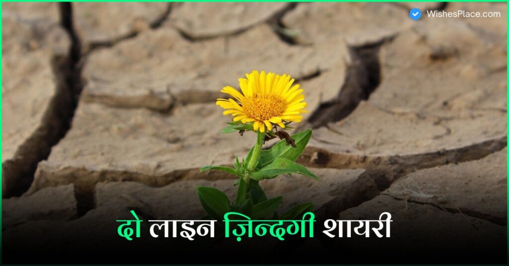 Best 2 Line Shayari Life​ In Hindi 384+ दो लाइन ज़िन्दगी शायरी